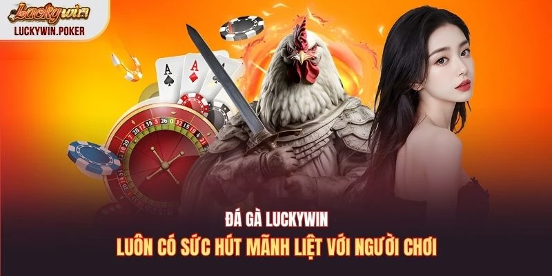 Đá gà Luckywin luôn có sức hút mãnh liệt với người chơi