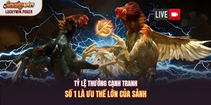 Tỷ lệ thưởng cạnh tranh số 1 là ưu thế lớn của sảnh